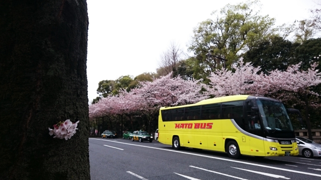 東京観光は、はとバス